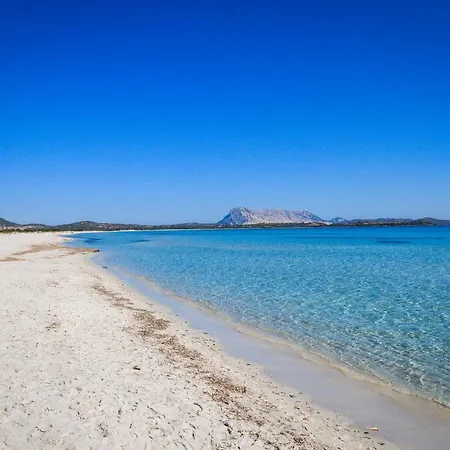 Luxrent Villa Smeralda Pool And Beach Appartement Cap Coda Cavallo