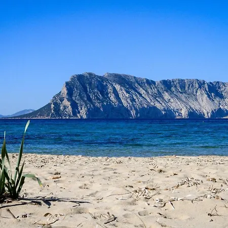 Luxrent Villa Smeralda Pool And Beach *