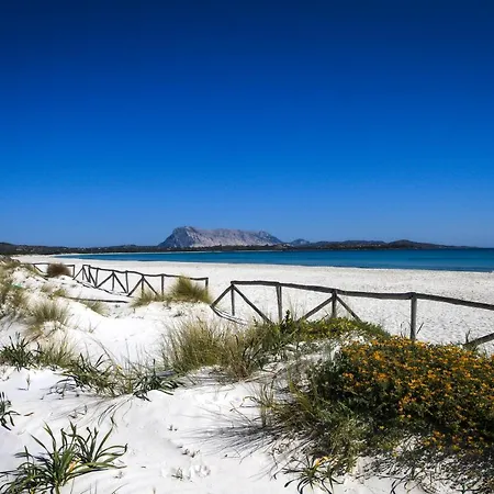 Luxrent Villa Smeralda Pool And Beach * Cap Coda Cavallo