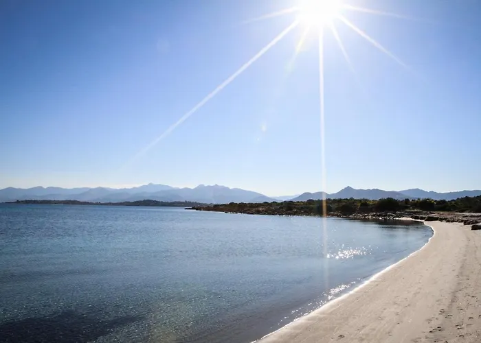 Luxrent Villa Smeralda Pool And Beach Capo Coda Cavallo