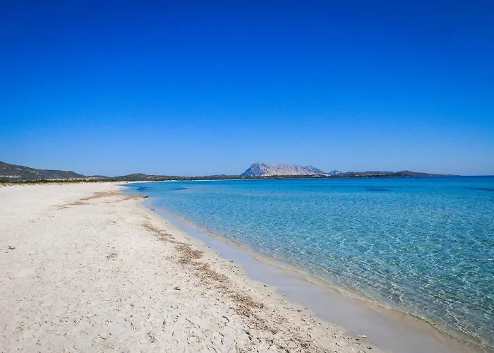 Luxrent Villa Smeralda Pool And Beach Apartman Capo Coda Cavallo