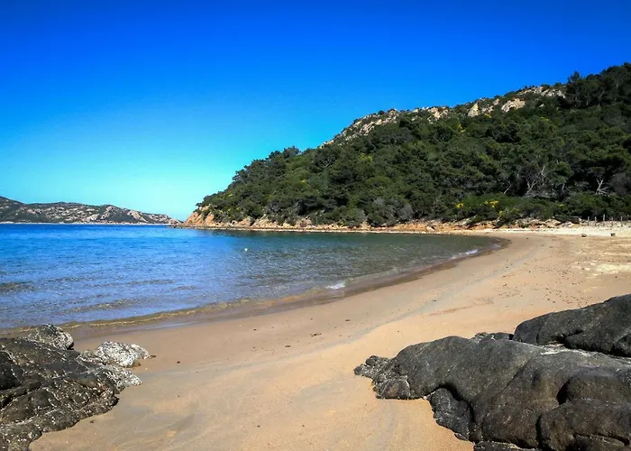 아파트 Luxrent Villa Smeralda Pool And Beach 카파코다카발로