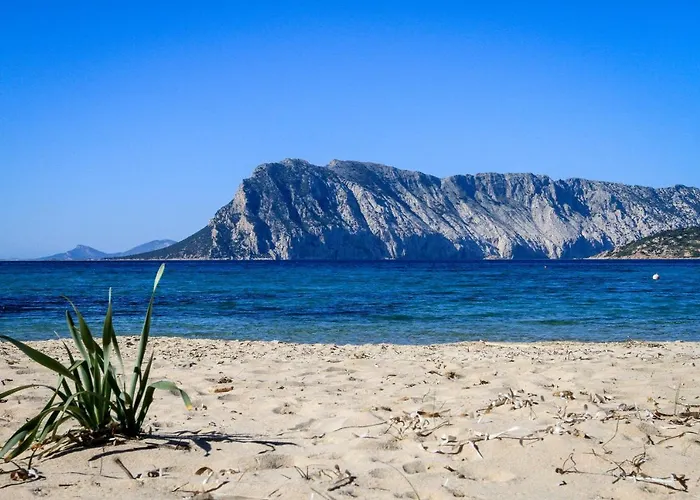 Luxrent Villa Smeralda Pool And Beach *