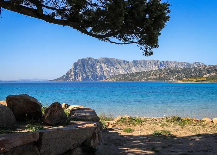 公寓 Luxrent Villa Smeralda Pool And Beach *