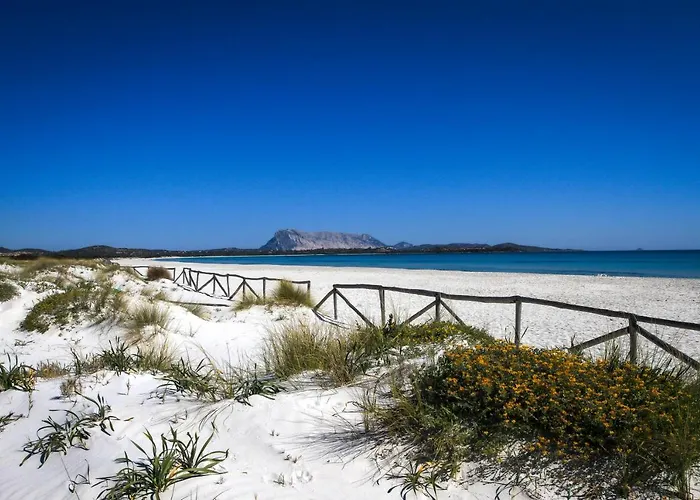 Luxrent Villa Smeralda Pool And Beach * 卡珀科达卡瓦洛